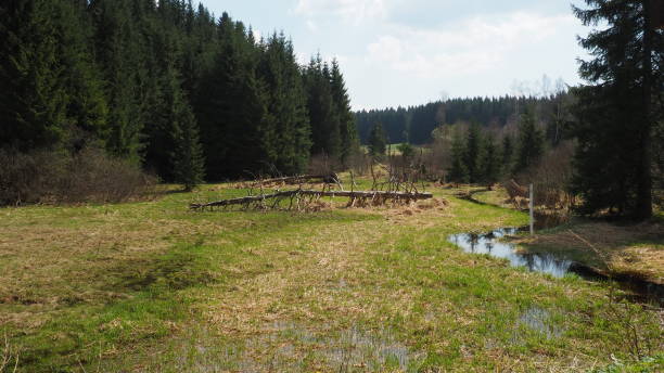 istock landscape in Central Europe 2193444799