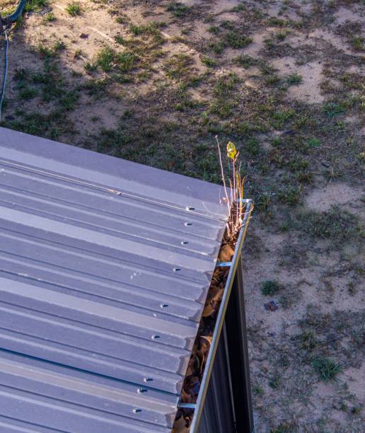 istock Aerial view of clogged roof gutters 2193445973