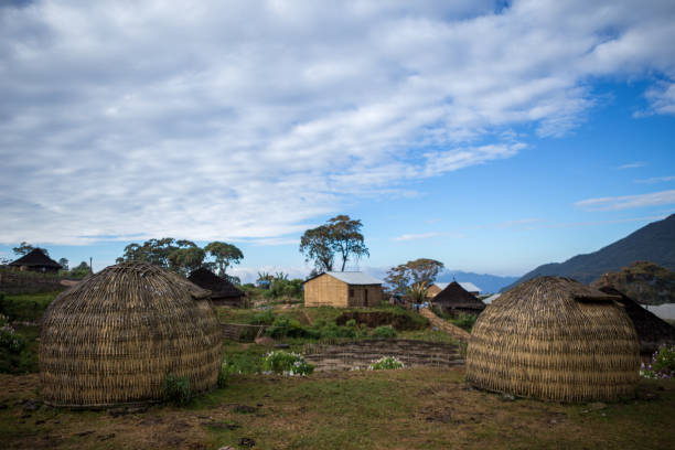 istock Harenna forest, Oromia region (Ethiopia) 2193448635