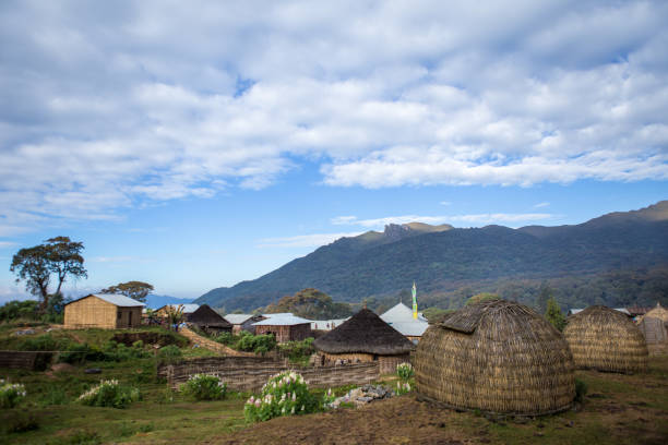 Harenna forest, Oromia region (Ethiopia)