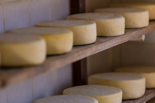 istock Artisanal raw-milk production in Serra da Canastra - Minas Gerais (Brazil) 2193449415