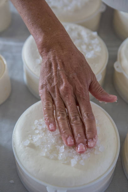 istock Artisanal raw-milk production in Serra da Canastra - Minas Gerais (Brazil) 2193449684