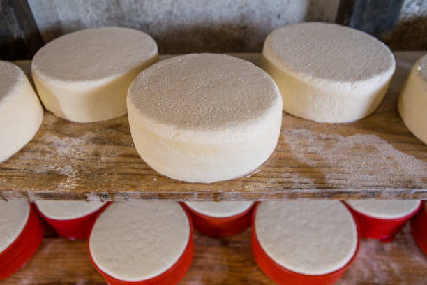istock Artisanal raw-milk production in Serra da Canastra - Minas Gerais (Brazil) 2193450512