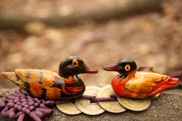 istock Two wooden mandarin ducks. 2193450628