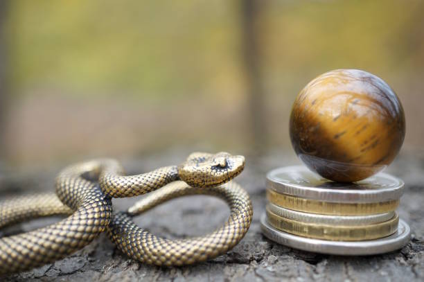 istock A snake figurine with coins and a tiger's eye. 2193450937