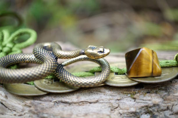 istock A snake statuette with Chinese coins and a pyramid. 2193451027