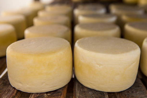 istock Artisanal raw-milk production in Serra da Canastra - Minas Gerais (Brazil) 2193451028