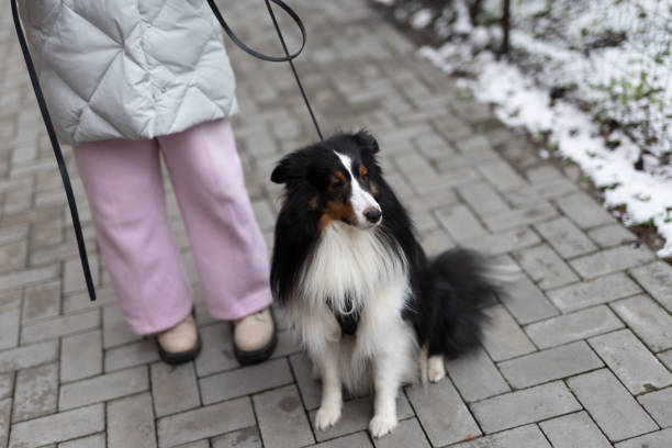 istock Young Girl walks with Dog in Winter 2193451407
