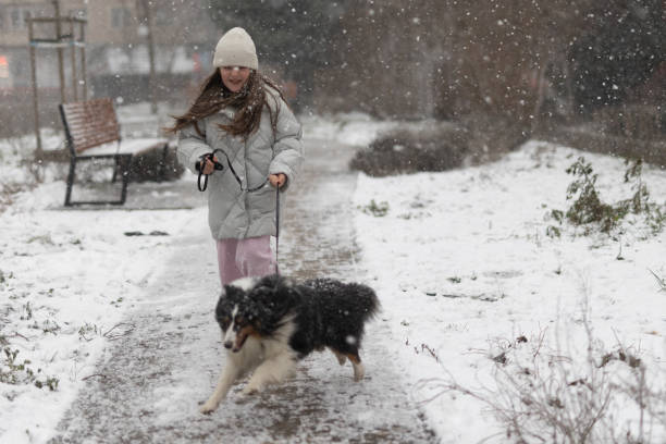 istock Young Girl walk with Dog in Winter 2193451607