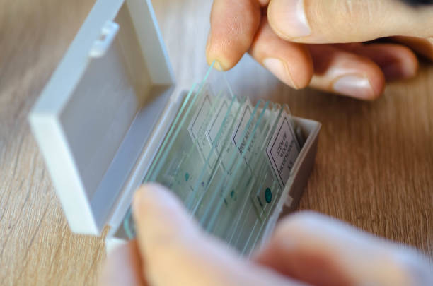 istock Female scientist takes samples of materials and substances she is studying and examines - close up on housefly legs - stock photo 2193451639