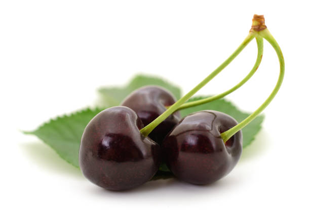 Three sweet cherries with stem and leaves on white background.