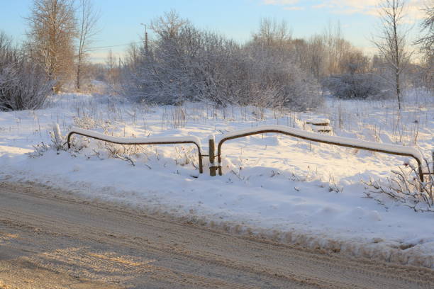 A tranquil winter scene beautifully showcases a peaceful snowy landscape, complete with a charming metal gate