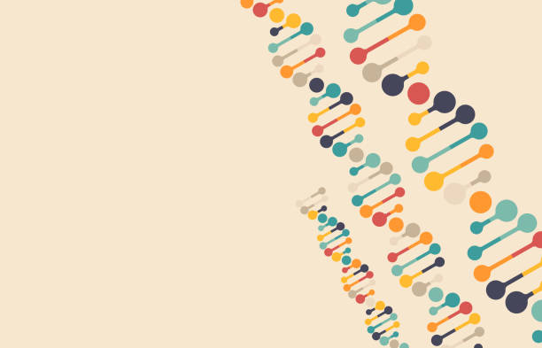 illustrations, cliparts, dessins animés et icônes de science moderne statistiques adn helix contexte - nucléotide