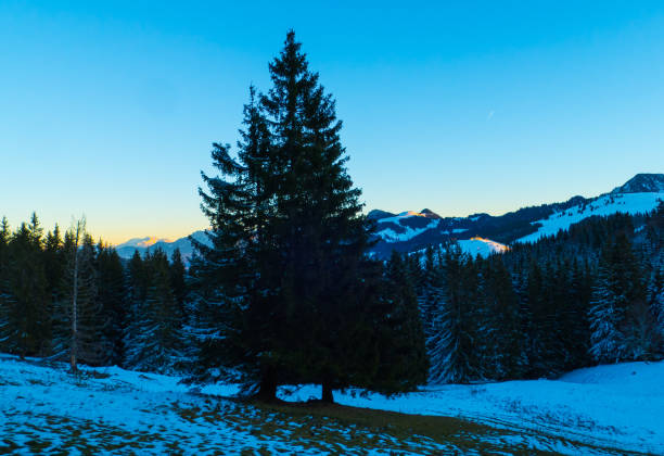 istock Snowy Mountain Landscape in Evening Light 2193454147
