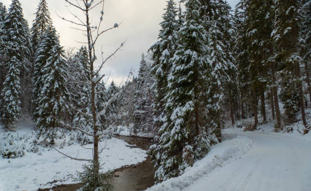 istock Calm River next to Hiking Trail Bavaria 2193454207