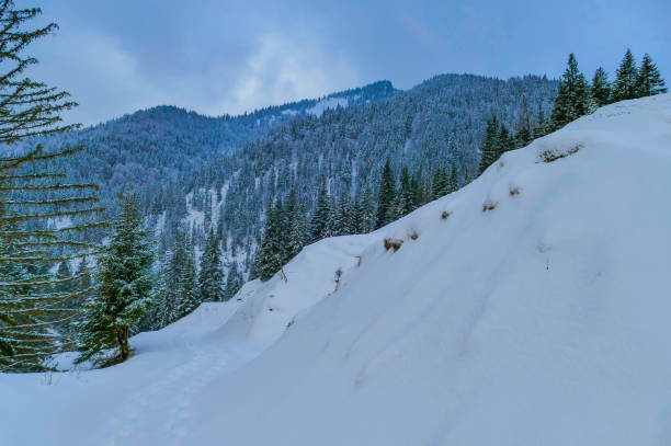 istock Hiking trail through Pfanngraben Germany in winter 2193454322