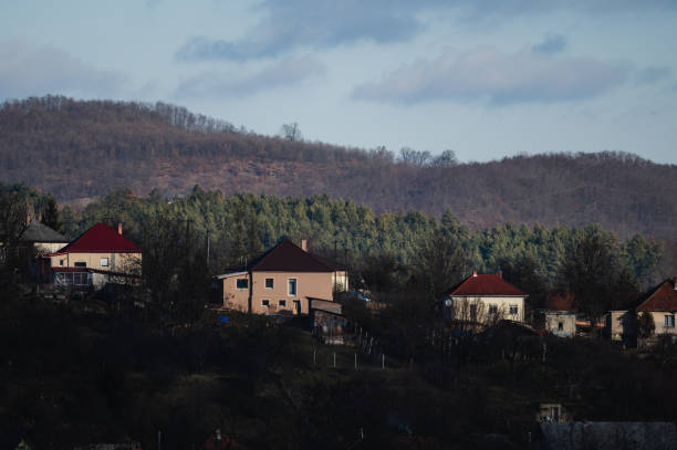 A picturesque view of rural houses nestled among trees on a hillside. The scene captures the tranquility of the countryside with bare trees and a cloudy sky in the background.