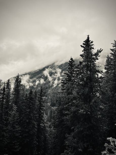 istock Banff National Park, Alberta, Canada 2193472194