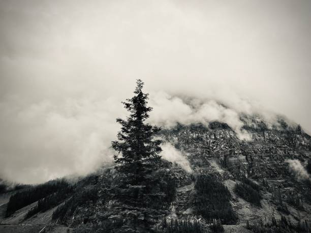 istock Banff National Park, Alberta, Canada 2193472219