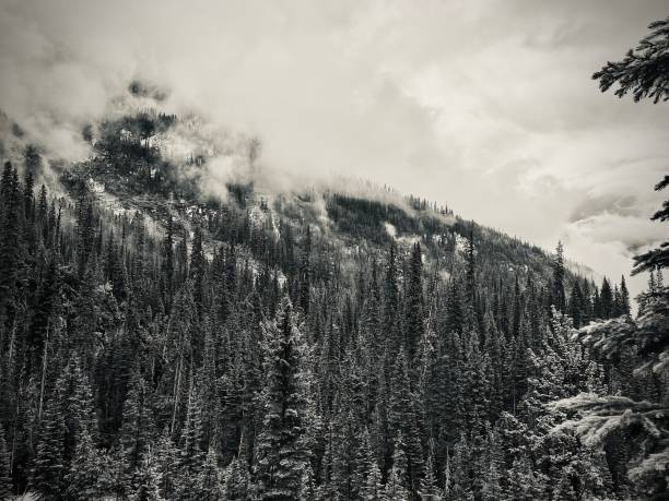 istock Banff National Park, Alberta, Canada 2193472242