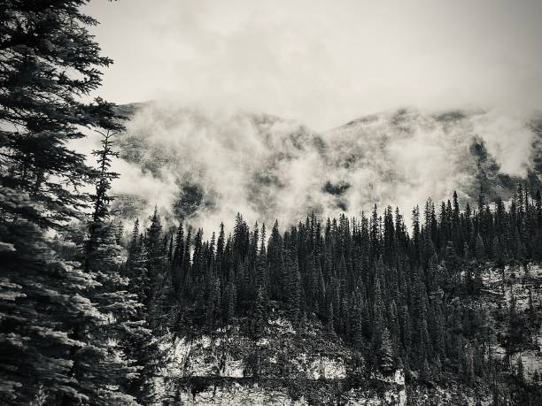 istock Banff National Park, Alberta, Canada 2193472270
