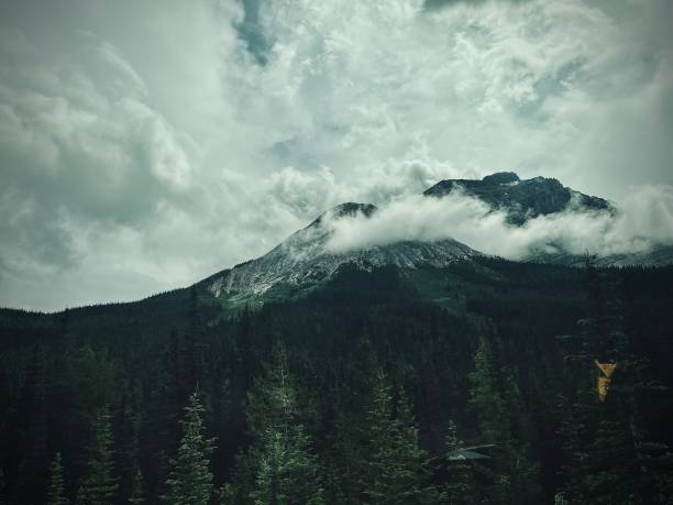 Banff National Park, Alberta, Canada