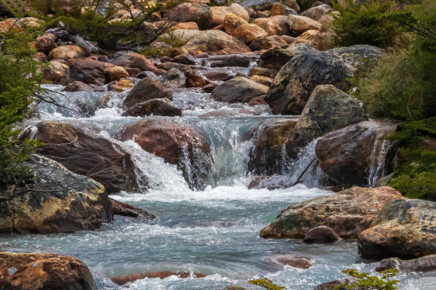 Mountain stream in the hills of Tierra del Fuego, just outside Ushuaia, Argentina. Water cascading over small boulders; banks on both sides lined with green bushes.