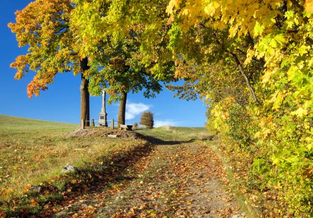 yellow deciduous maple trees and cart road and crucifix, autumn landscape view