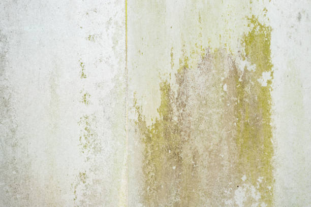 istock A weathered metal surface showcasing rusted patches and scrape marks 2193481528