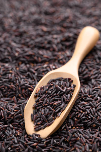 istock Organic rice berry or purple rice, Thai rice 2193489392