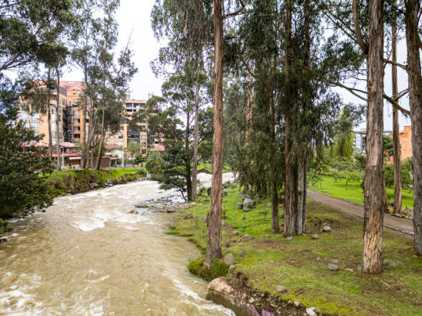 The Tomebamba River, a vibrant artery of Cuenca, Ecuador, flows gracefully through lush greenery. This image captures the river's serene beauty with its sparkling waters, verdant banks, and picturesque surroundings.