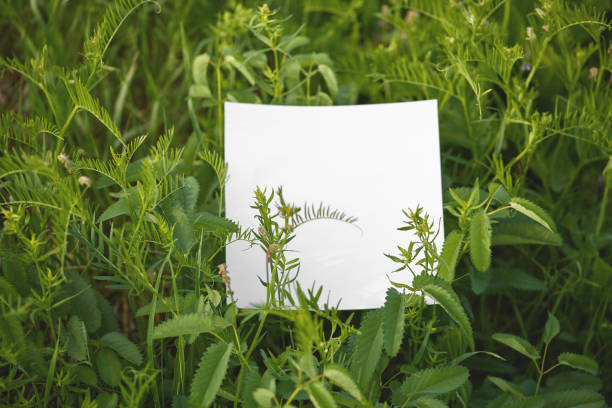 natural simple mock up. empty white sheet on bright green summer grass. template for design presentation, event promotion, portfolio