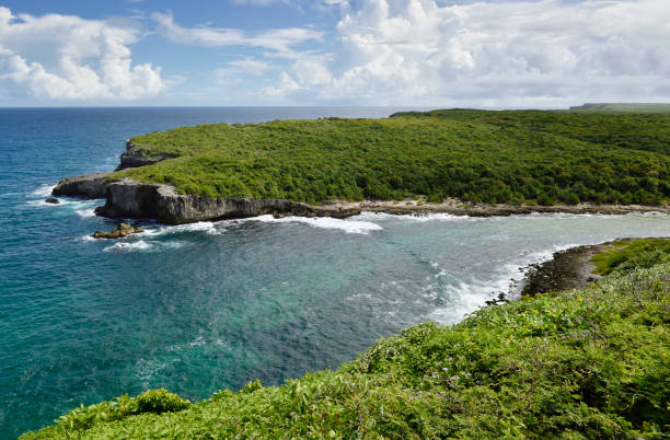 istock Sea cliffs of Guadeloupe 2193493743