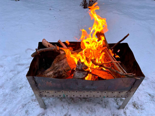 istock Photo of logs engulfed by fire 2193505116