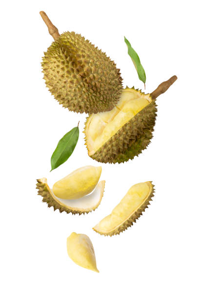 istock Falling Durian isolated on white background with clipping path, full depth of field 2193505933