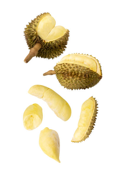 istock Falling Durian isolated on white background with clipping path, full depth of field 2193507025