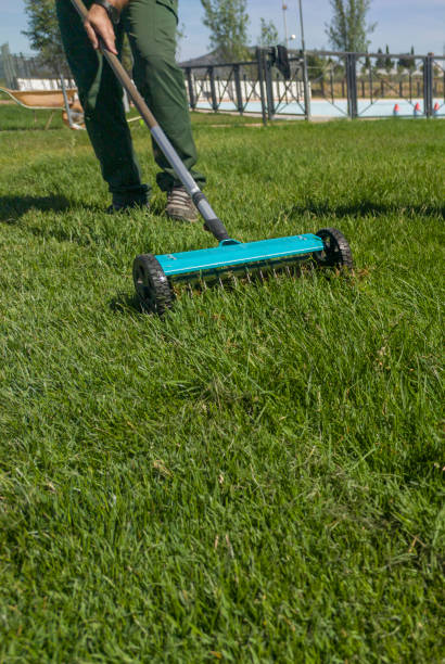 istock Hand scarifier for lawn in action 2193510914