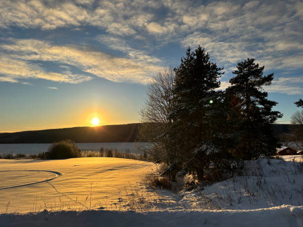 istock Winter Twilight in Northern Sweden 2193512063