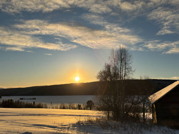 istock Winter Twilight in Northern Sweden 2193512080