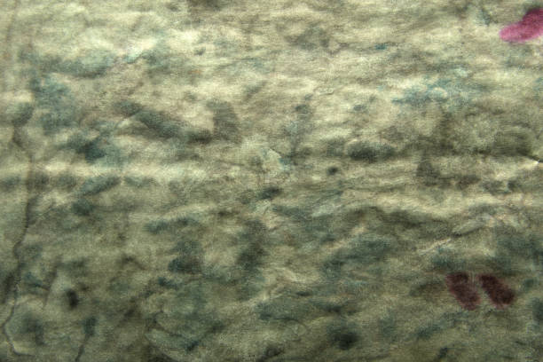 art background of ink blots in green