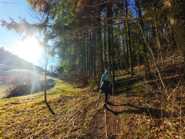 istock Solo Female Hiker on forest trail in winter time 2193514266