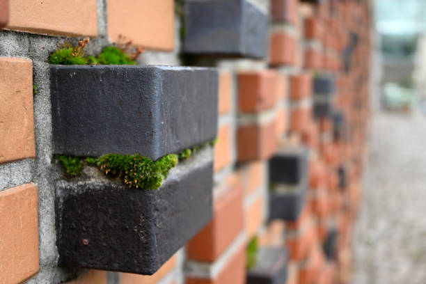 istock Different Places at the Hamburg Hafencity, Germany 2193517857