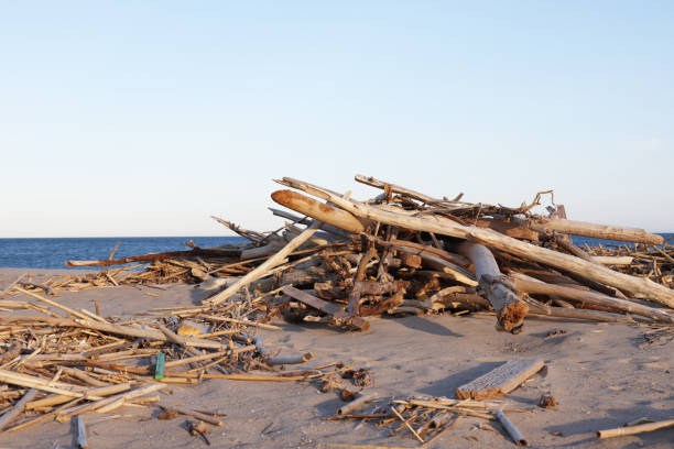 Aftermath from a flood with debris resting on a beach before entering the sea before clean up operation