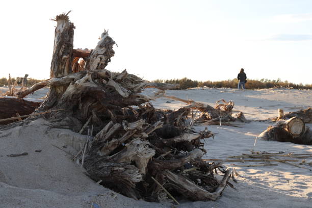 Aftermath from a flood with debris resting on a beach before entering the sea before clean up operation