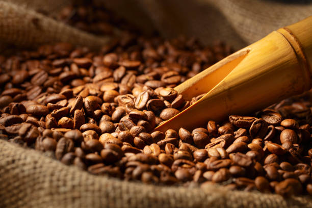 istock Roasted coffee beans in burlap bag. 2193520419