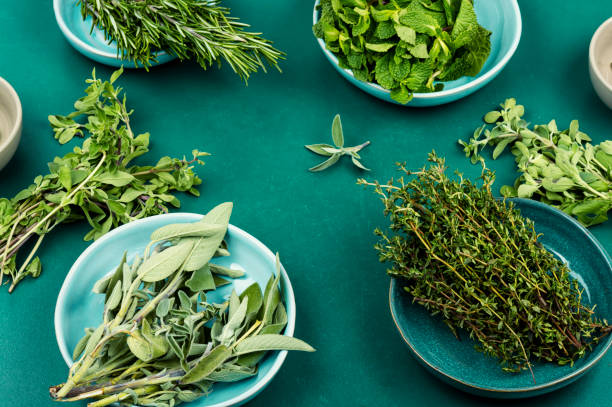 istock Set of fresh herbs spices. 2193522779