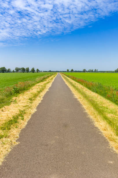 istock Straight road going through the flat landscape of Drenthe 2193524677