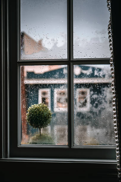 istock Rain-Kissed Window with Garden View in San Francisco 2193526096