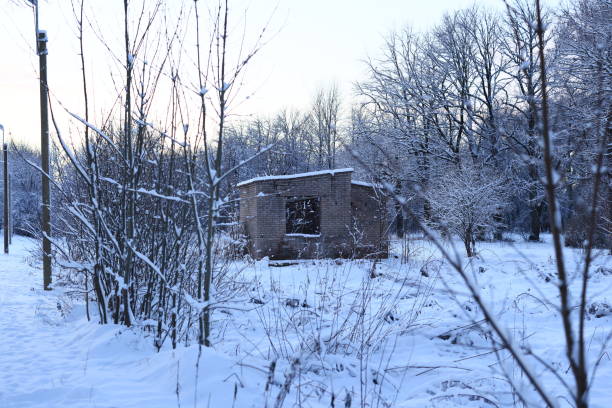 Digitally generated (without the use of any A.I. tools or technologies) dilapidated rural building in a desolate setting. Cracked walls, faded paint, and an overgrown surrounding landscape convey an eerie, post-apocalyptic feel. A deserted trailer rests nearby, adding to the scene's abandonment. The atmosphere suggests themes of urban decay, desolation, and passage of time, offering compelling storytelling potential for various visual projects.The scene was created in Autodesk® 3ds Max 2025 with V-Ray 7 and rendered with photorealistic shaders and lighting in Chaos® Vantage with some post-production added.