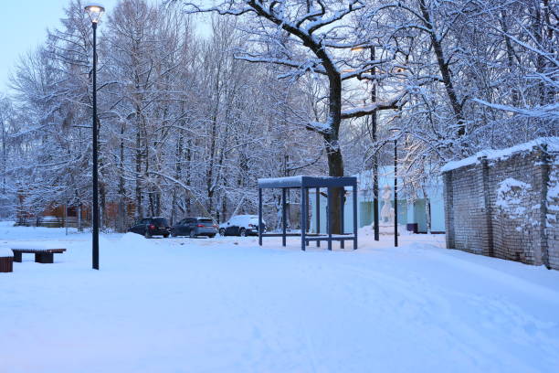 istock A Serene Winter Scene featuring a Beautiful SnowCovered Landscape and Tranquil Atmosphere 2193529617